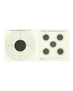 Bisley Double Sided Targets Bulk Pack 17 x 17cm (Pack of 1000)