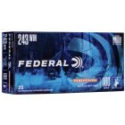 Federal Power Shok .243 Winchester 100gr (20 Rounds)
