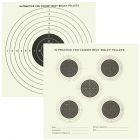 Bisley Double Sided Targets Grade 1 (Pack of 50)