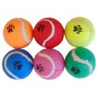 Tennis Balls Pack of 6
